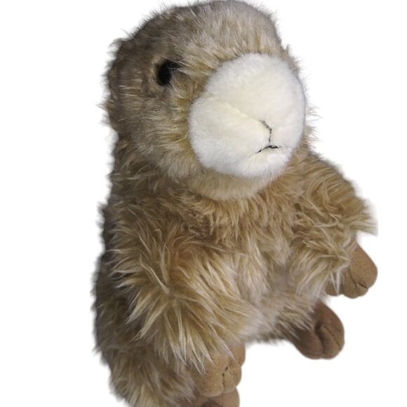 Save Our Space Brown Marmot Wombat Stuffed Animal 8 Inch Plush 2003 - Picture 2 of 10